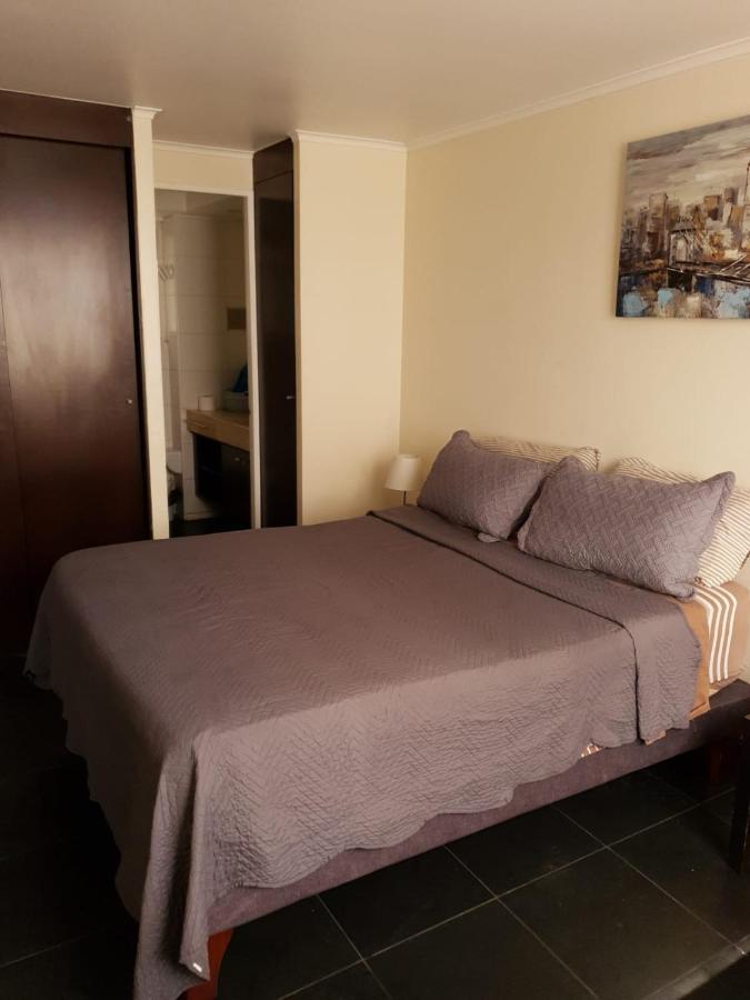 圣地亚哥Departamento Con Terraza R&M公寓 外观 照片