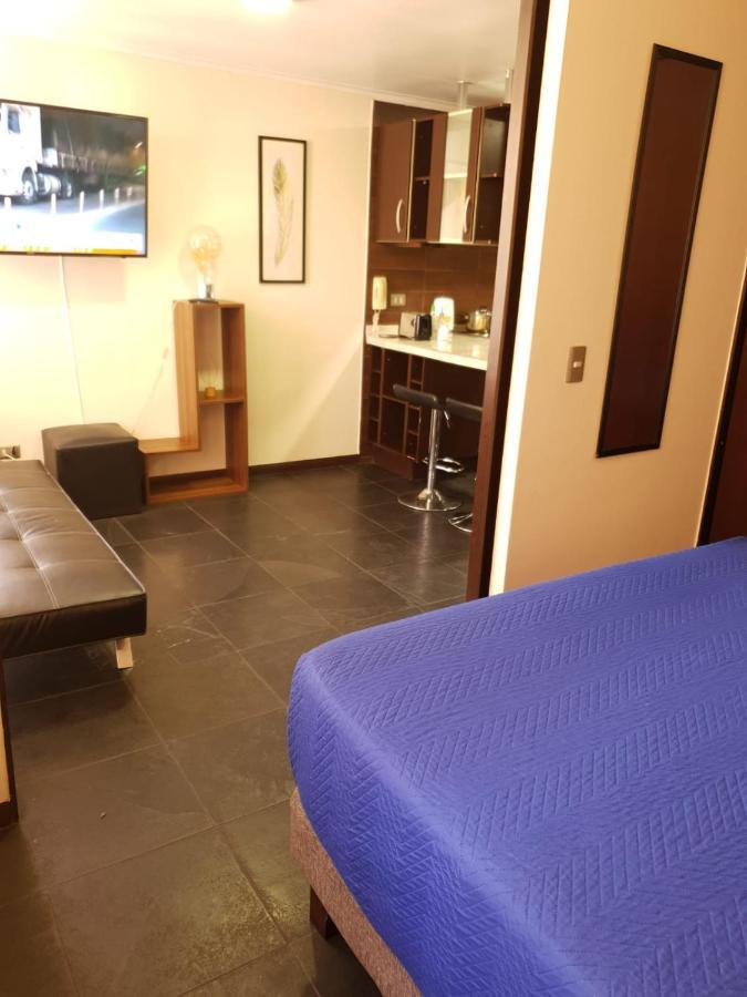 圣地亚哥Departamento Con Terraza R&M公寓 外观 照片